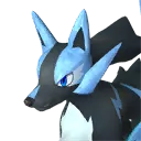 Rayhound Cryst Rayhound Cryst